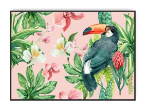 Jungle Tukan, 50 x 70 cm plakat