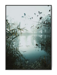 Beautiful morning lake, A3 29,7 x 42 cm plakat