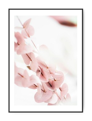 Lyserød Eucalyptus, A3 29,7 x 42 cm