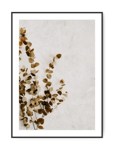 Dried Eucalyptus, A3 29,7 x 42 cm plakat