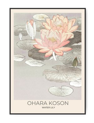 Poster Ohara Koson, Water Lily, 29,7 x 42 A3 (29,7 x 42 cm) – Kunstdruck