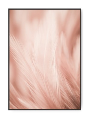 Soft, A4 21 x 30 cm plakat