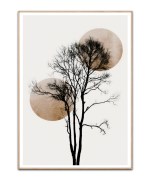 Treetop - A4 plakat