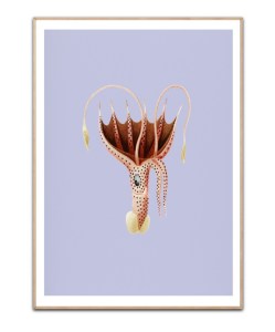 Poster Umbrella Octopus, A3 (29,7 x 42 cm) – Kunstdruck