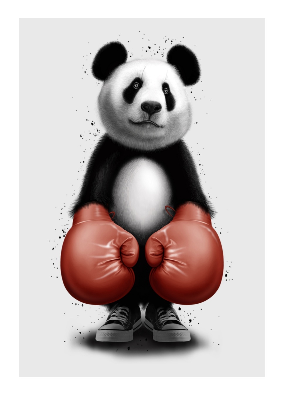 PANDA BOXER - Adam Lawless, A4 plakat - Billede 2