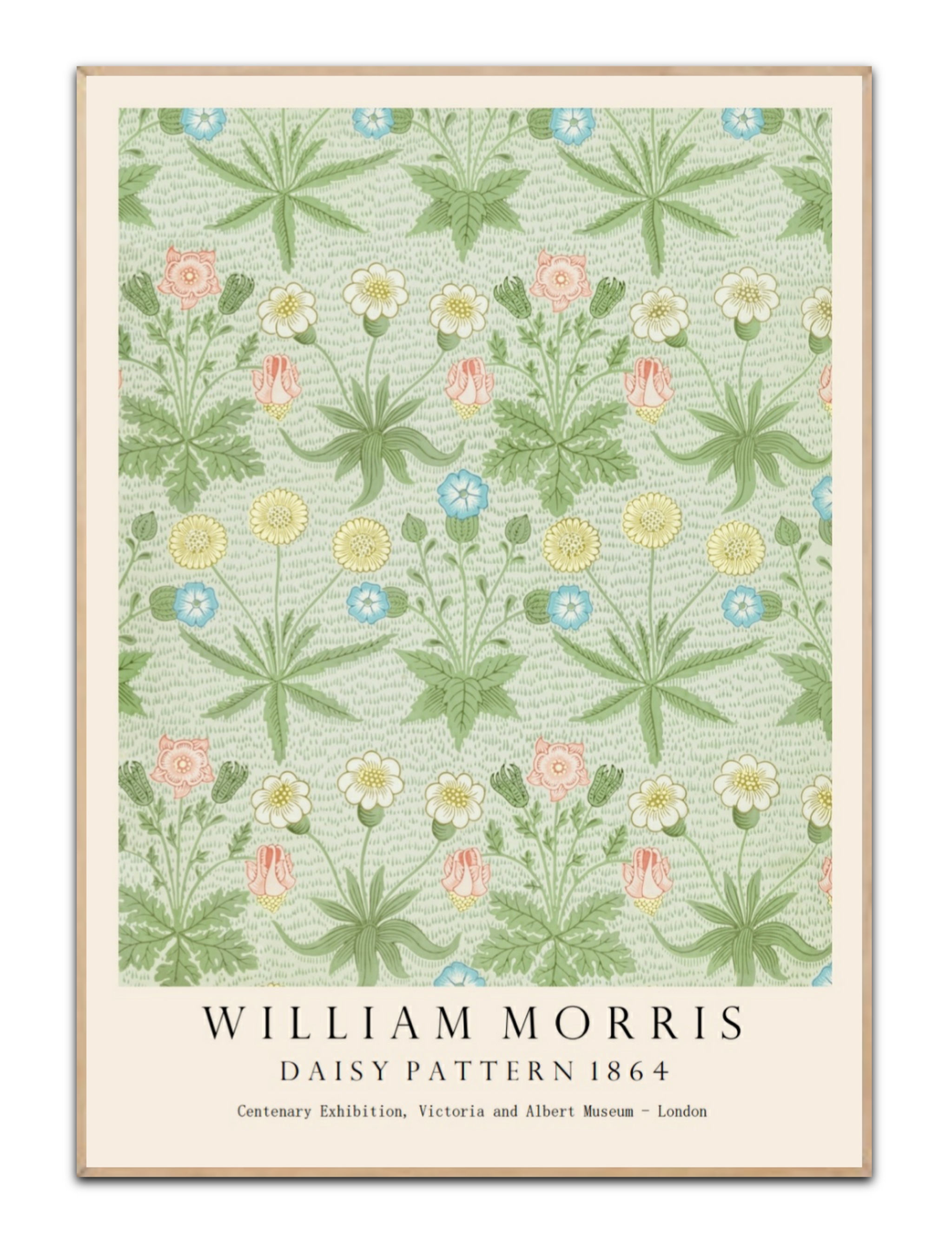 William Morris Daisy – Bild 5