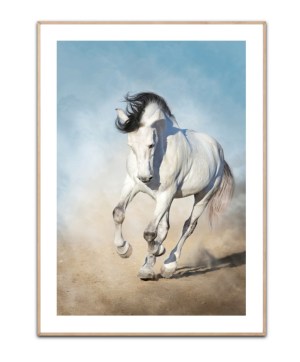 Running Horse White, Poster