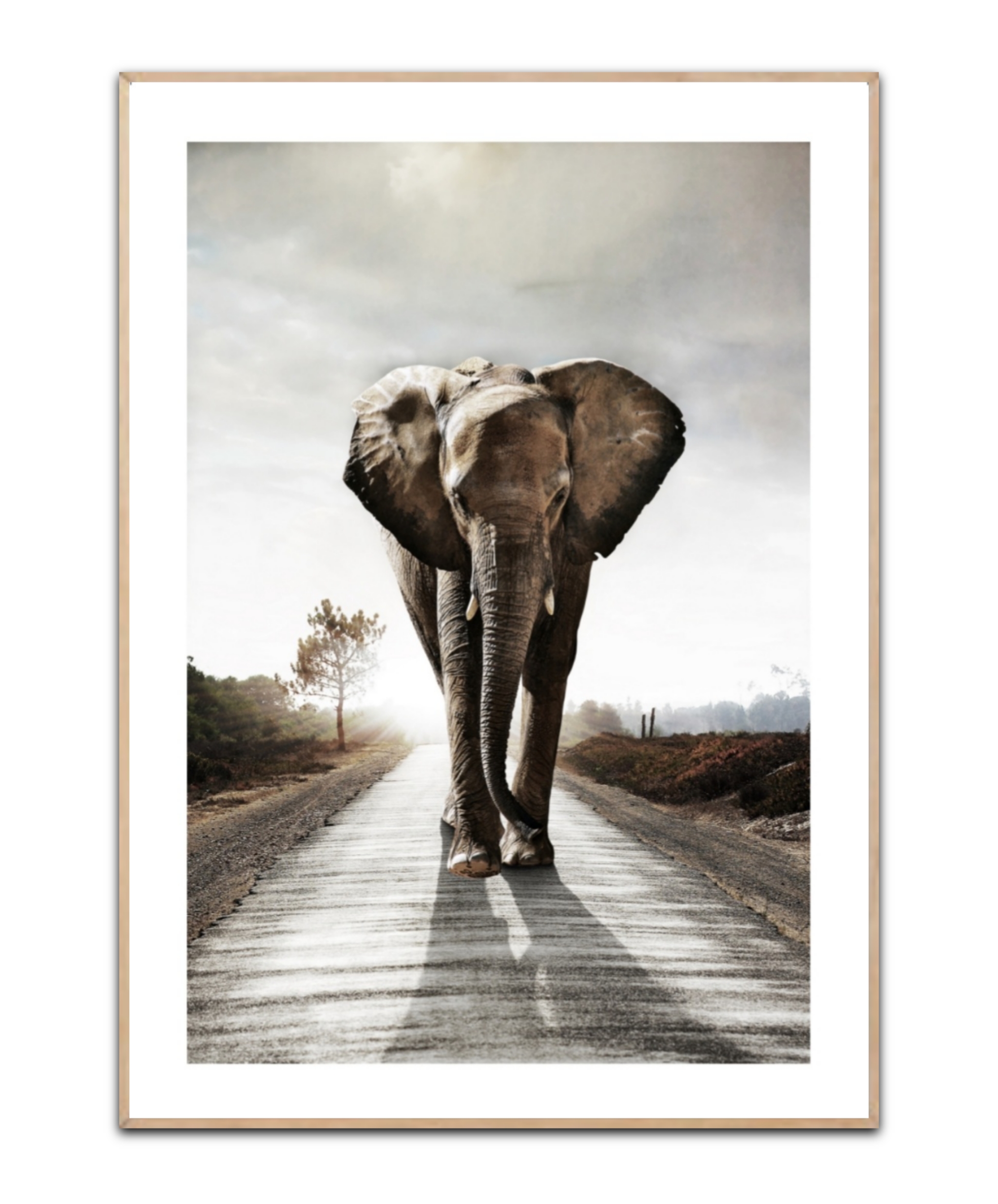 Elephant Road, Poster