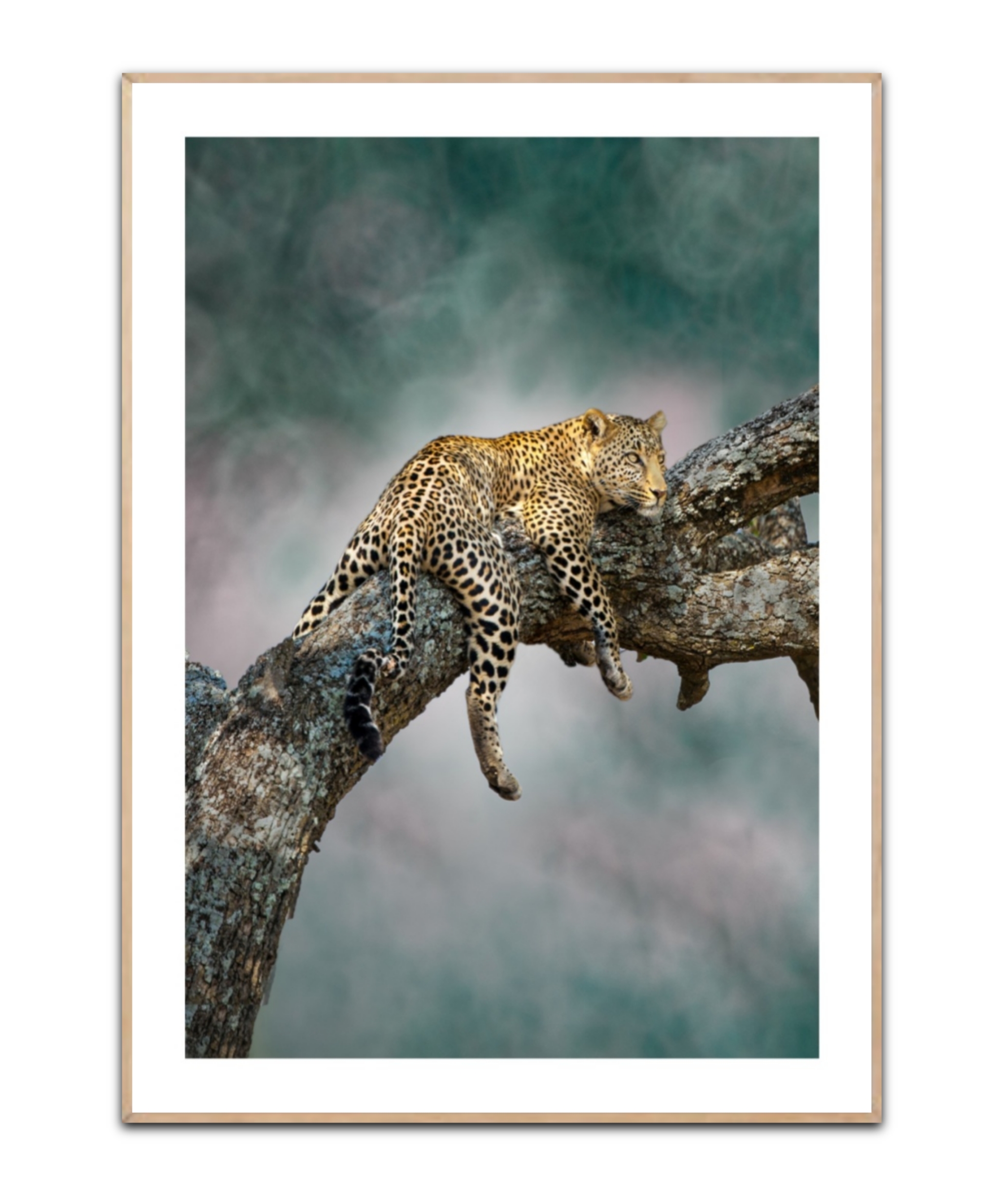 Leopard, Poster