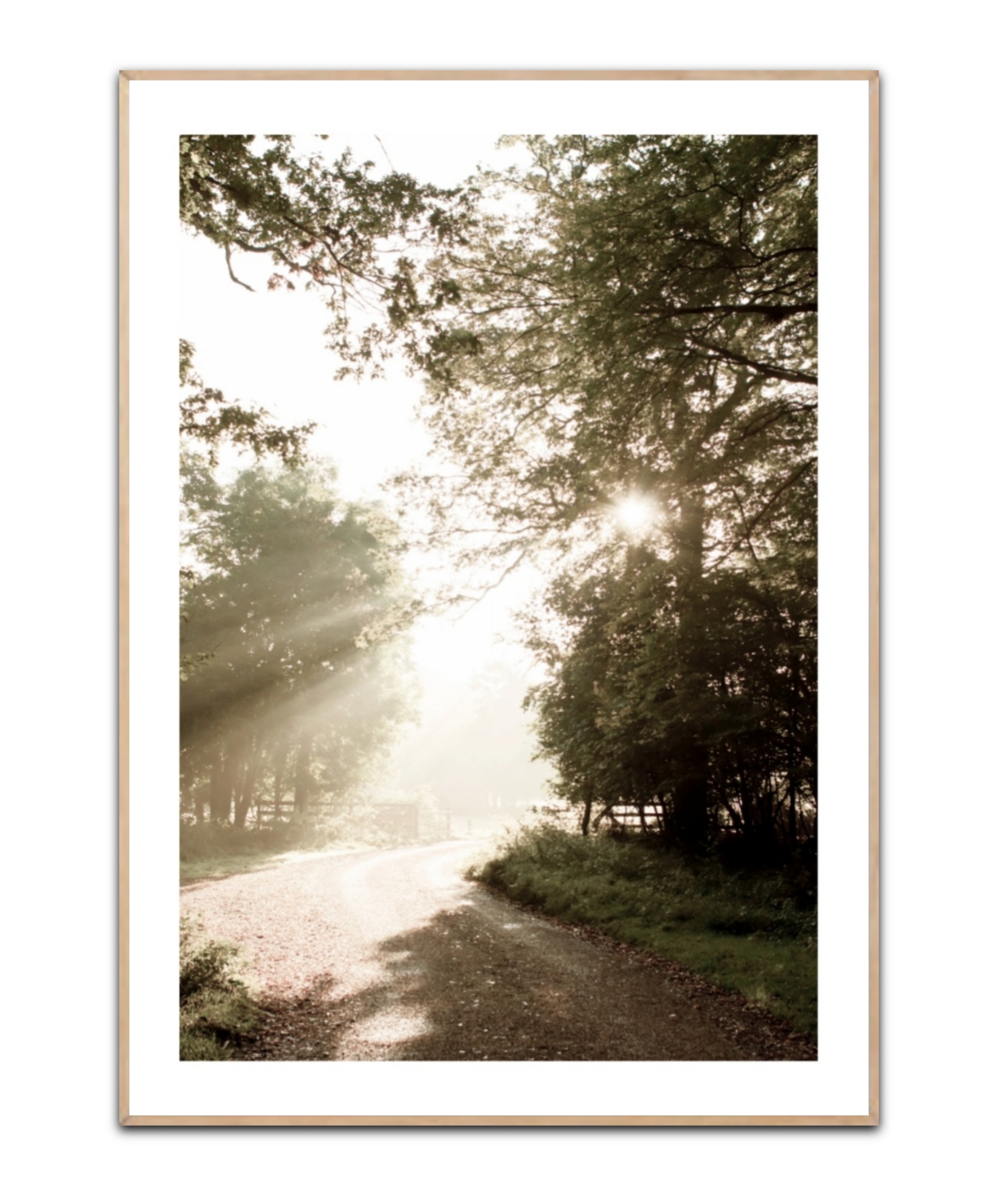 The light, Poster