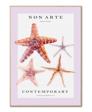 Non Arte - Starfish, Poster