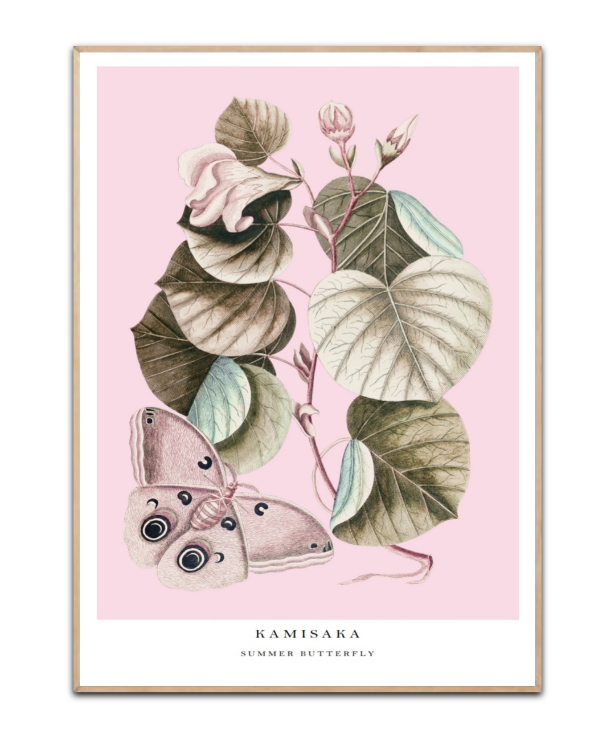 Kamisaka - Summer butterfly, Poster