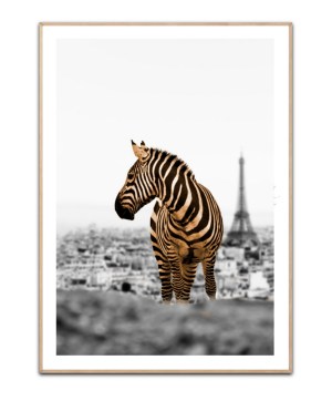 No Way Home Stadt Fadil Roze, Poster