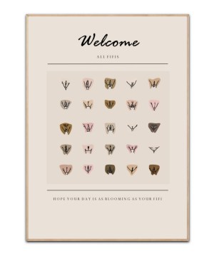 Welcome all Fifis, Poster