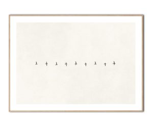 Birds flying on a row Poster