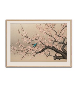 Bird in a cherry tree Poster, .