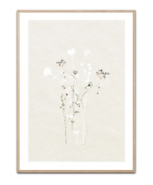 Botanical Elements Poster, .
