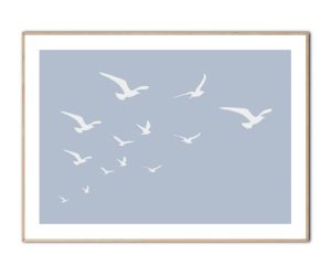 Seagulls Poster, .