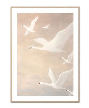 Swanrise Poster