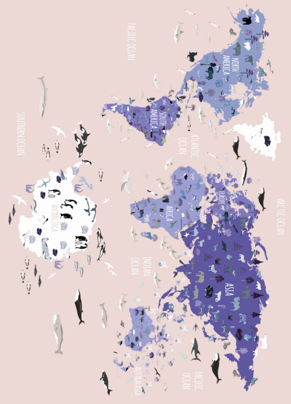 World Map Rosa, Poster – Bild 5