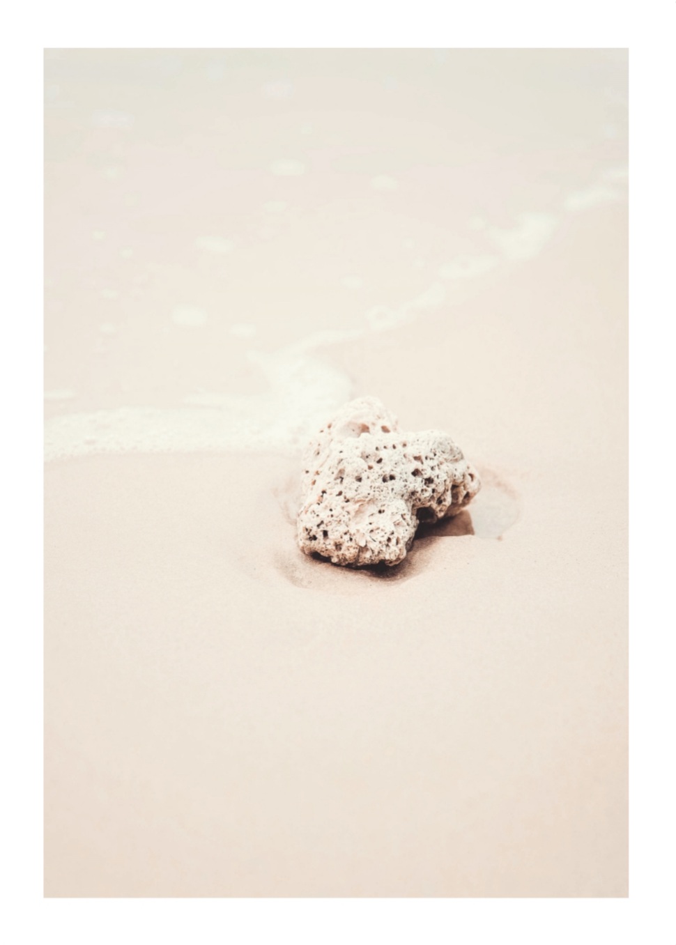Nature Creation, Poster – Bild 6