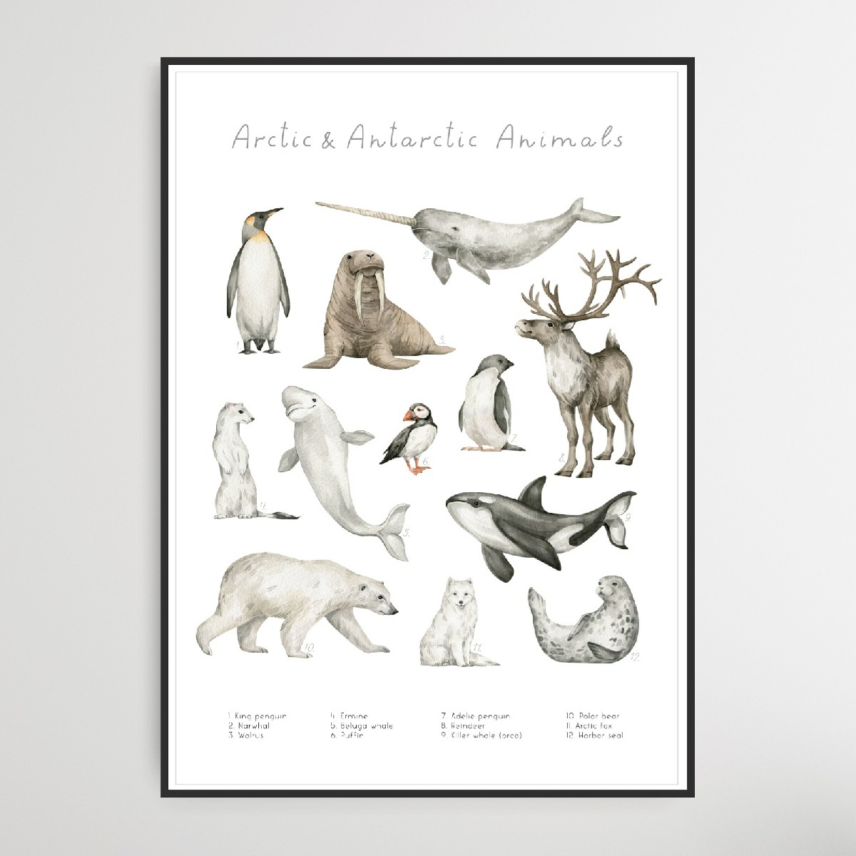 Arctic & Antarctic Animals, Poster – Bild 6