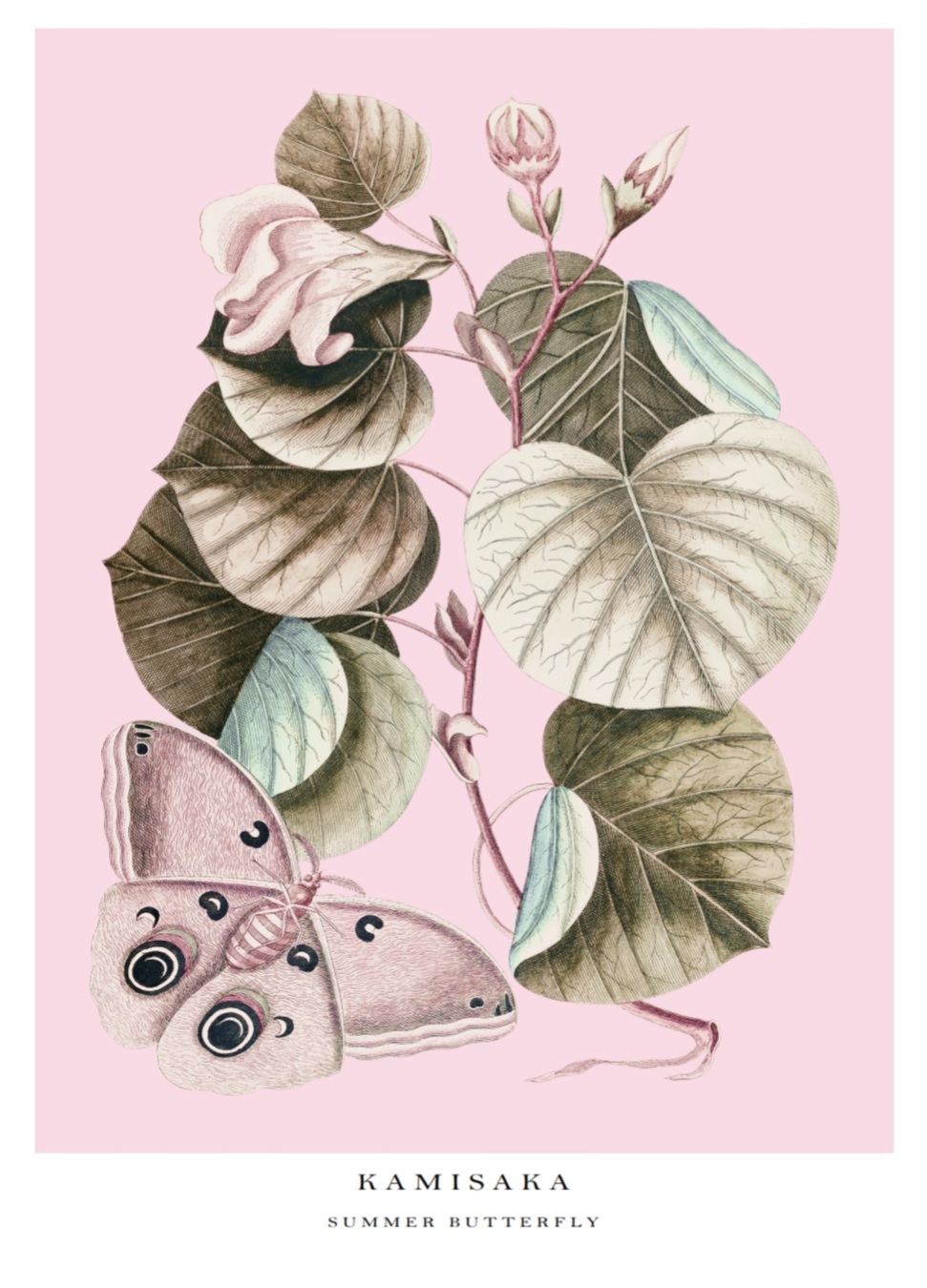 Kamisaka - Summer butterfly, Poster – Bild 5