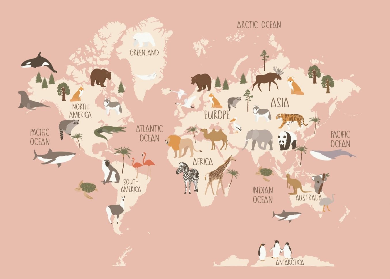Worldmap Rose Poster, . – Bild 5