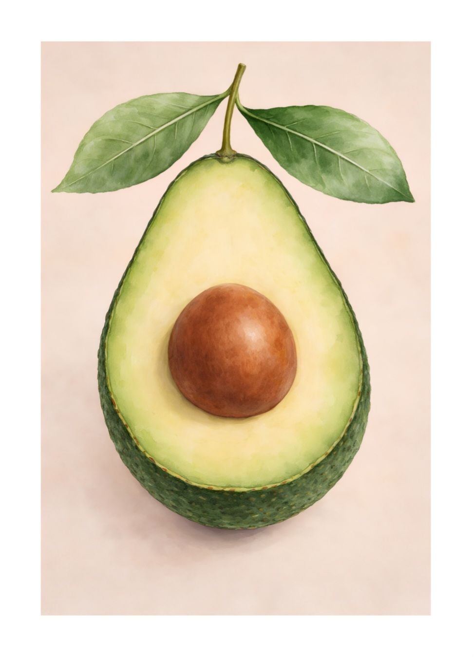 Avokado Poster – Bild 5