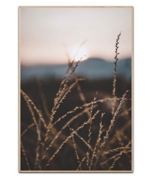 Solnedgang, 50 x 70 cm Poster