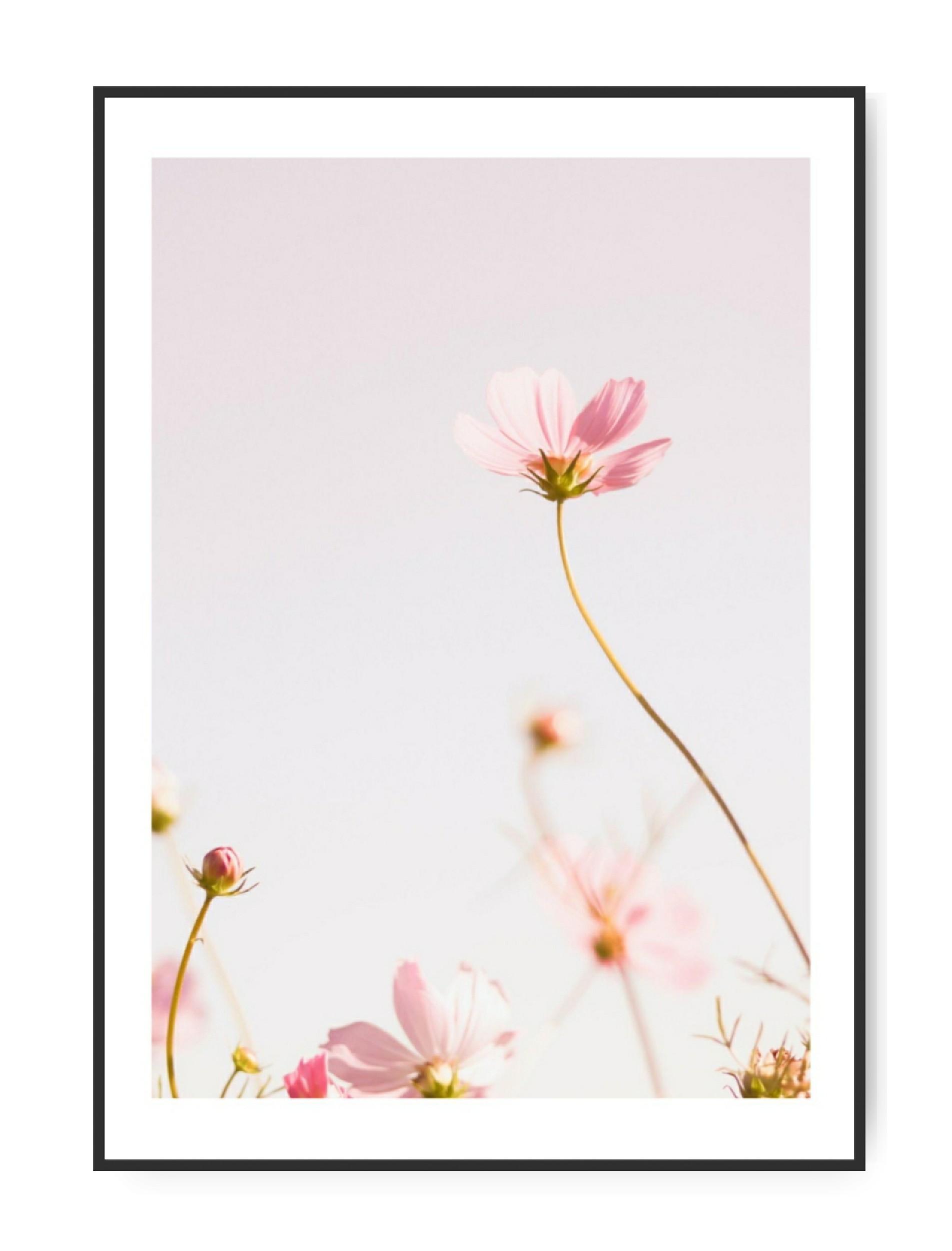 Bilderwand 10 – Bild 3