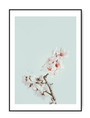 Pastel toner, 50 x 70 cm Poster