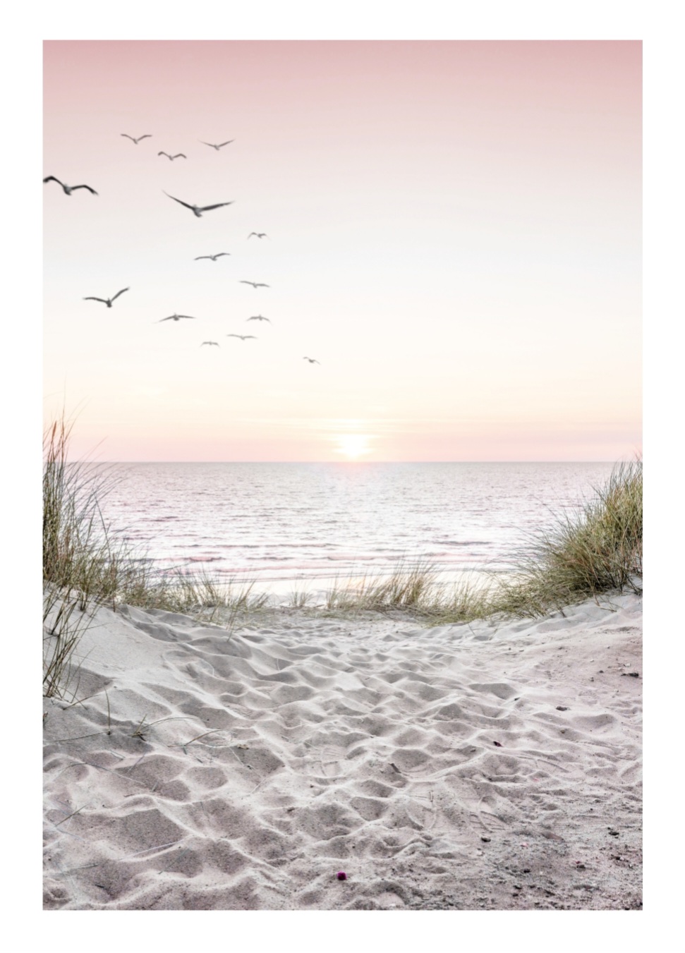 Silence at Sunrice - Poster – Bild 5