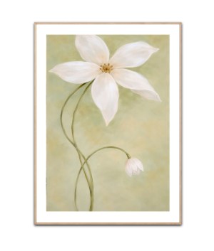 Ruhige weiße Blumen, Poster