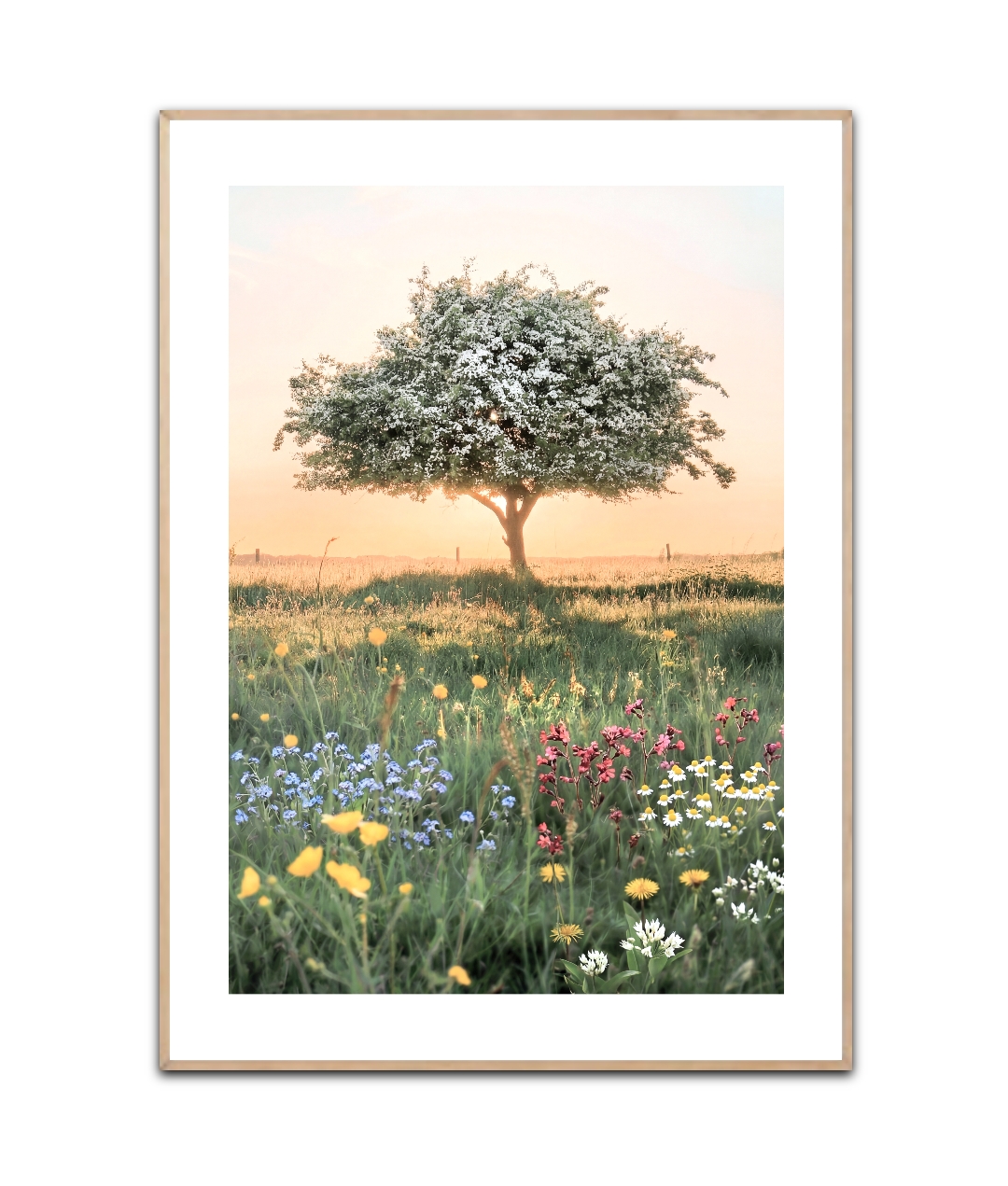 Baum des Lebens, Poster