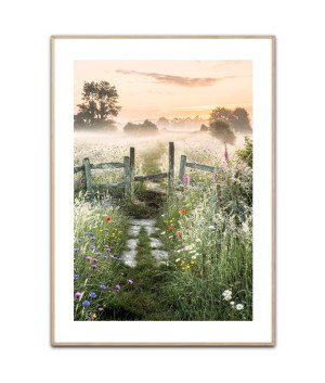 Morgennebel, Poster